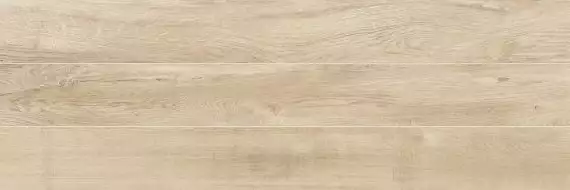 WT11GLS11 Glossy Groundy 200*600*7,5
