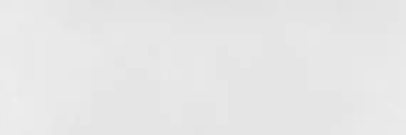 WT15BFN15R Baffin Gray Light 246*740*9,8