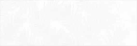 WT15EXI00R Exotic White 24.6x74