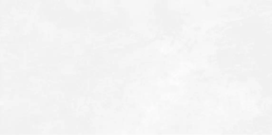 WT9ANR00 Плитка Antre White 24.9х50