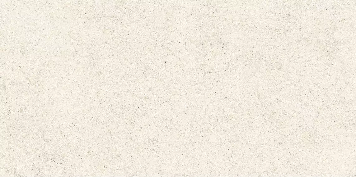 WT9ATW11 Плитка Artwork Beige 249*500*85
