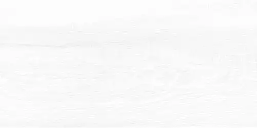 WT9BRE00 Плитка Briole White 249*500*7.5