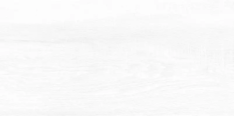 WT9BRE00 Плитка Briole White 249*500*7.5