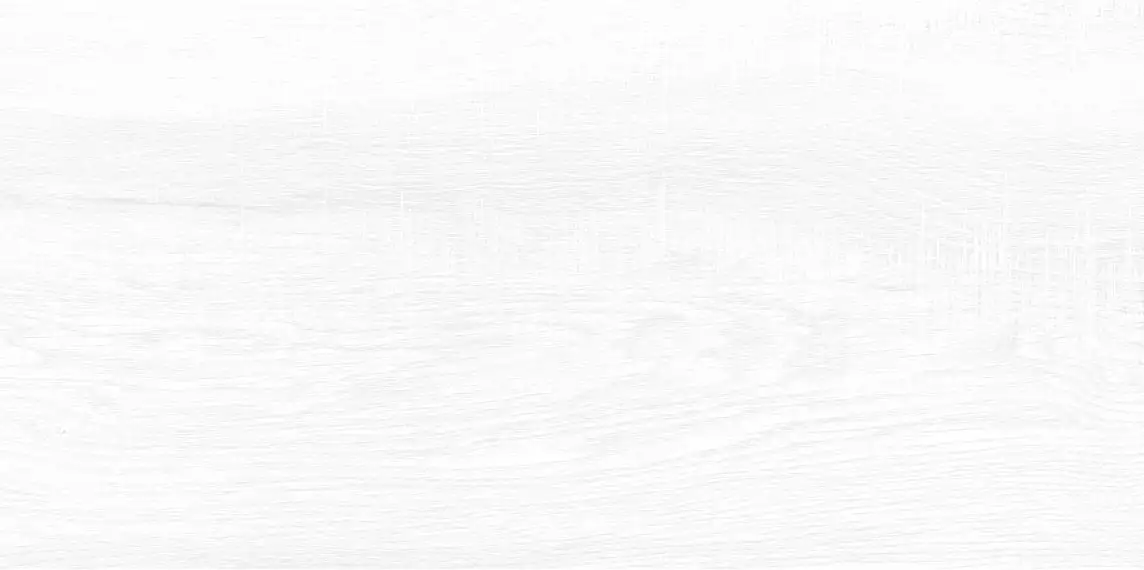 WT9BRE00 Плитка Briole White 249*500*7.5