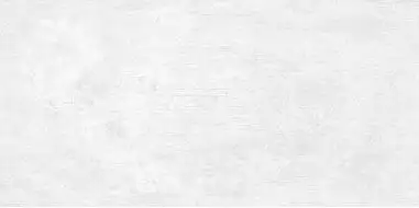 WT9BTN00 Плитка Beton Gray 24.9х50