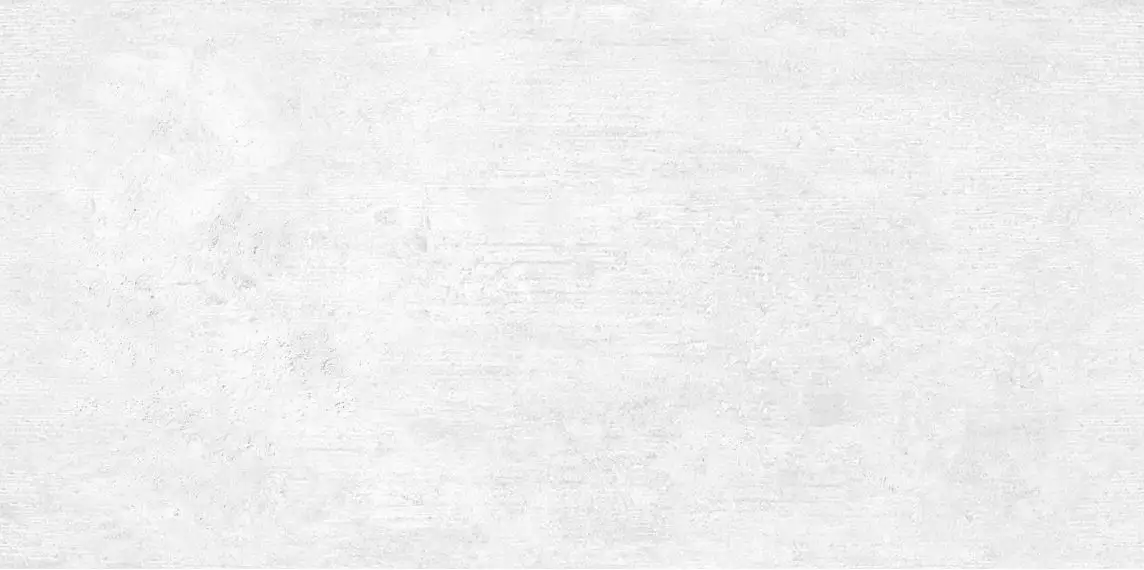 WT9BTN00 Плитка Beton Gray 24.9х50