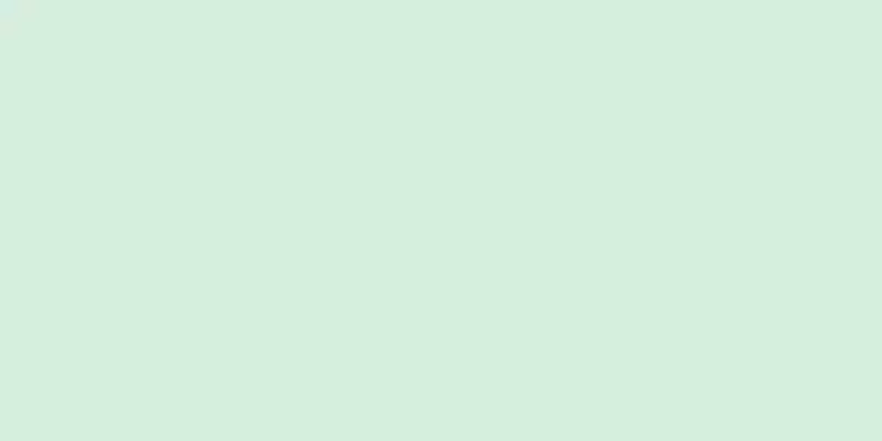 WT9CAY04 Плитка Candy Mint 249*500*85