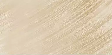 WT9EME11 Плитка Emerald Latte 249*500*85