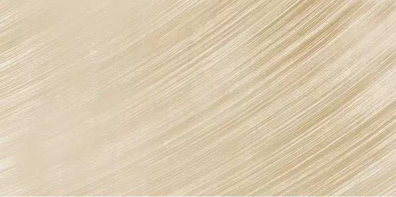 WT9EME11 Плитка Emerald Latte 249*500*85
