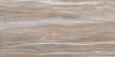WT9ESR21 Плитка Esprit Wood 250*500*9