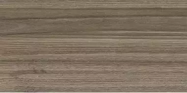 WT9ESS08 Плитка Essense Brown 249*500*85