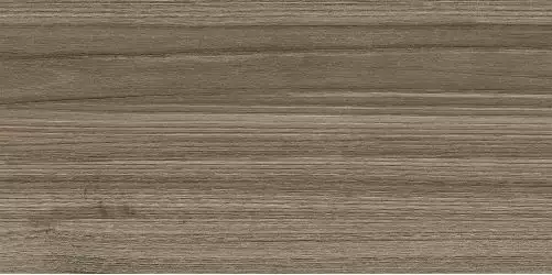 WT9ESS08 Плитка Essense Brown 249*500*85