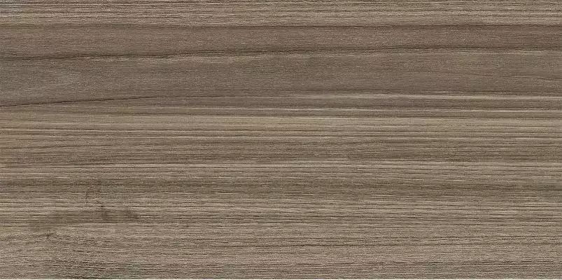 WT9ESS08 Плитка Essense Brown 249*500*85