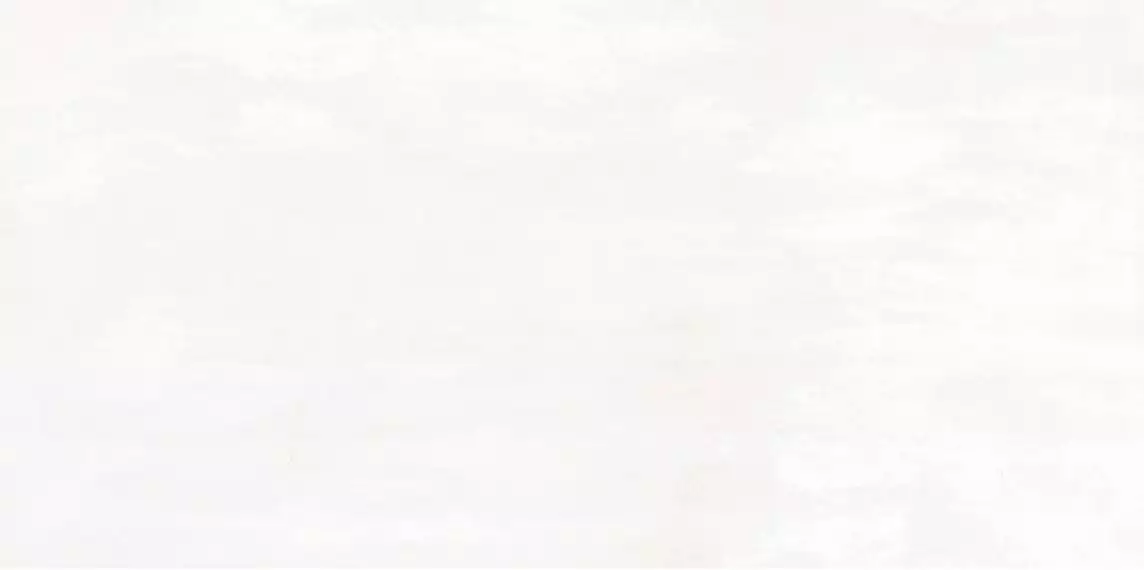 WT9GAR00 Плитка Garret White 249*500*85