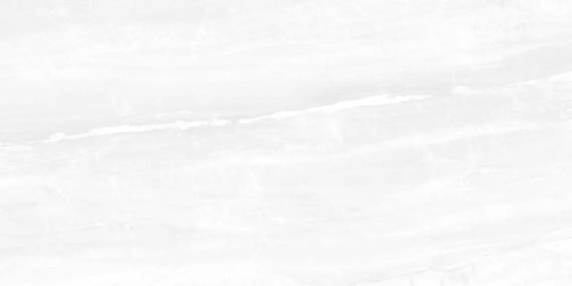 WT9INR15 Плитка Interni Grey 250*500*9