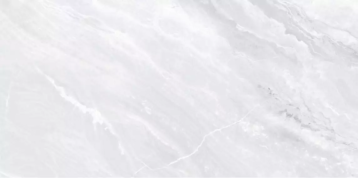 WT9LIB00 Плитка Liberto Light 24.9x50