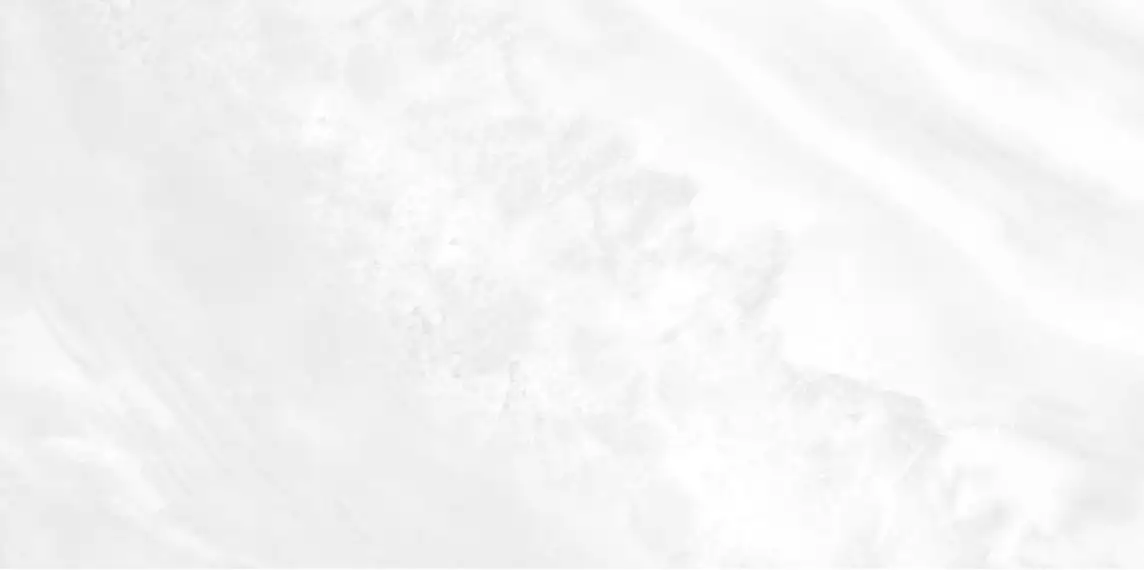 WT9PAL00 Плитка Palmira light 249*500*8,5