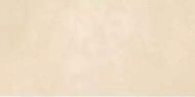 WT9PET11 Плитка Petra Beige 24.9х50