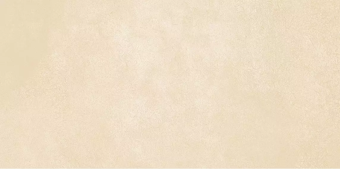 WT9PET11 Плитка Petra Beige 24.9х50