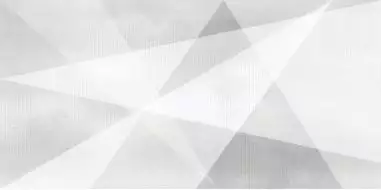 WT9SHG00 Плитка Shape Geometric White 24.9х50