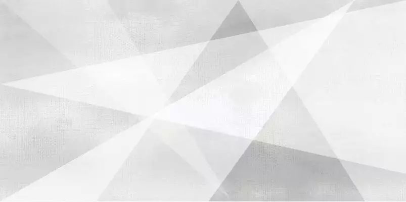 WT9SHG00 Плитка Shape Geometric White 24.9х50