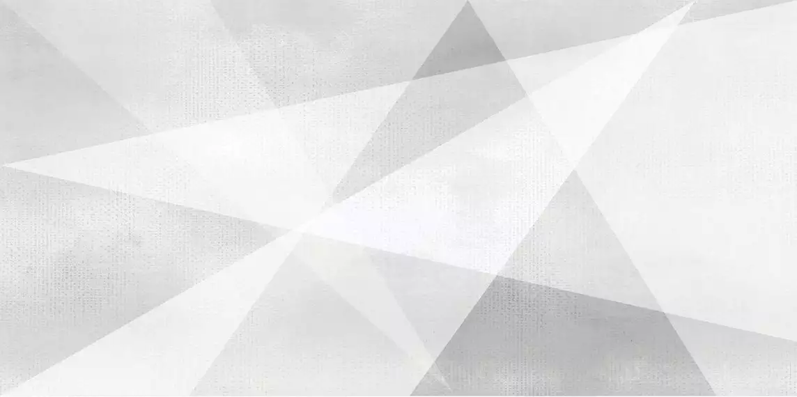 WT9SHG00 Плитка Shape Geometric White 24.9х50