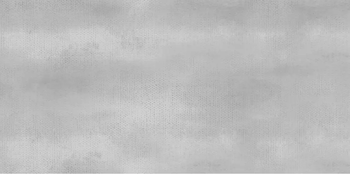 WT9SHP15 Плитка Shape Gray 24.9х50