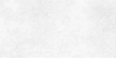 WT9SOS00 Плитка Santos White 249*500*8,5