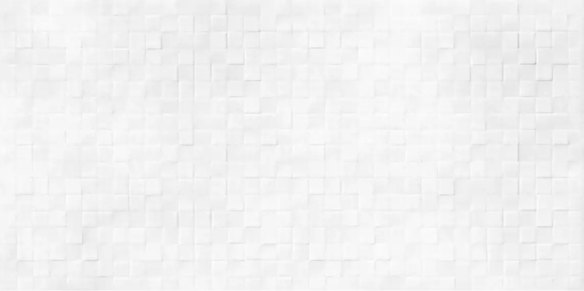 WT9SOS00 Плитка Santos White 249*500*8,5