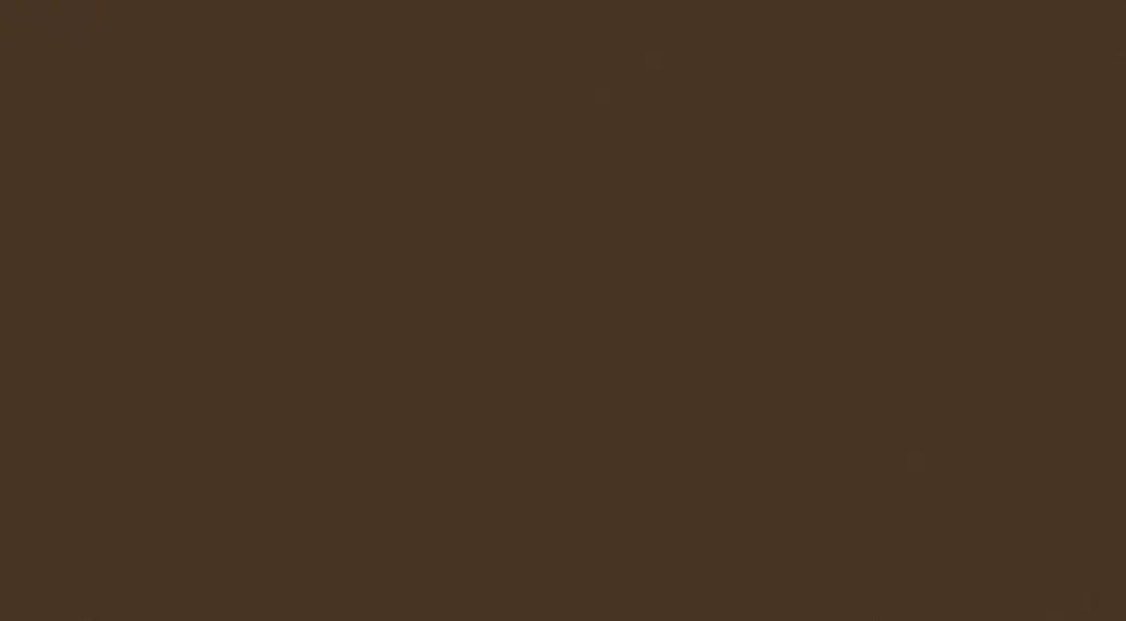 W - Brown 1 32,7X59,3