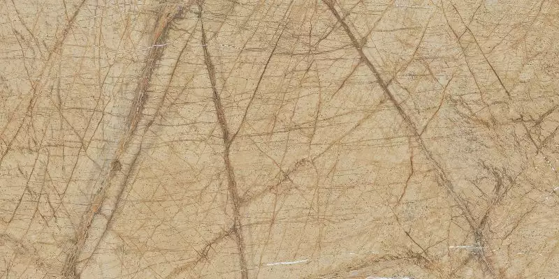 Wattle Beige Drab 60x120