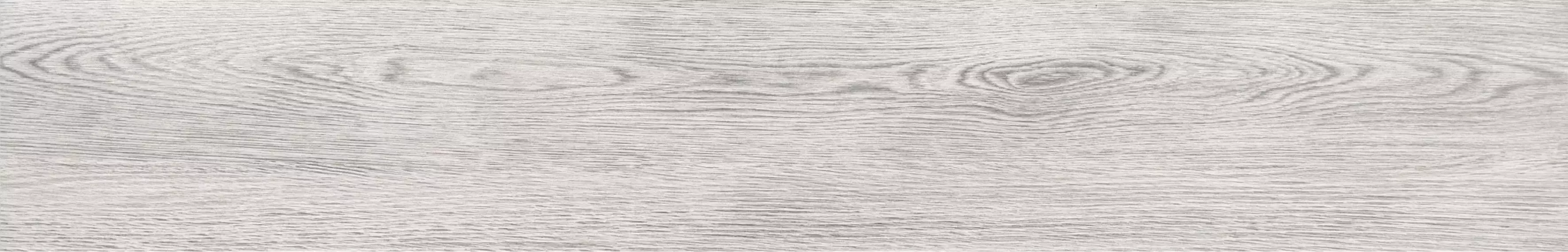 Westwood bianco 19.3*120.2