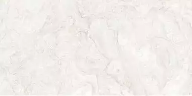 White Bergos Glossy 60x120