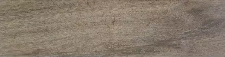 Wild PRI Taupe 15.3x58.9