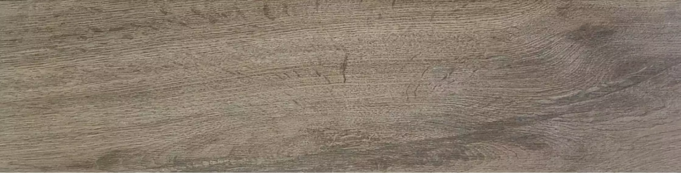 Wild PRI Taupe 15.3x58.9