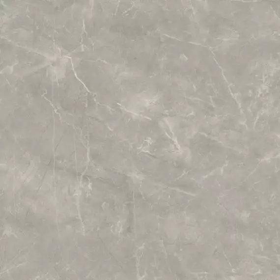 Wolf Grey 80х80