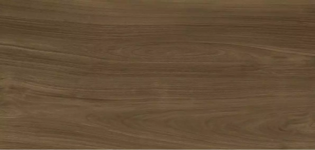 Xlight Ewood Honey Nature 120x250