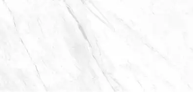 Xlight Lush White Polished 120x250