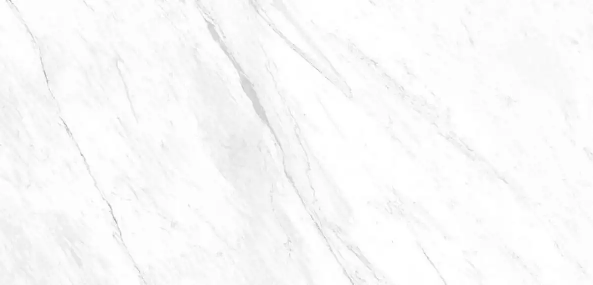Xlight Lush White Polished 120x250