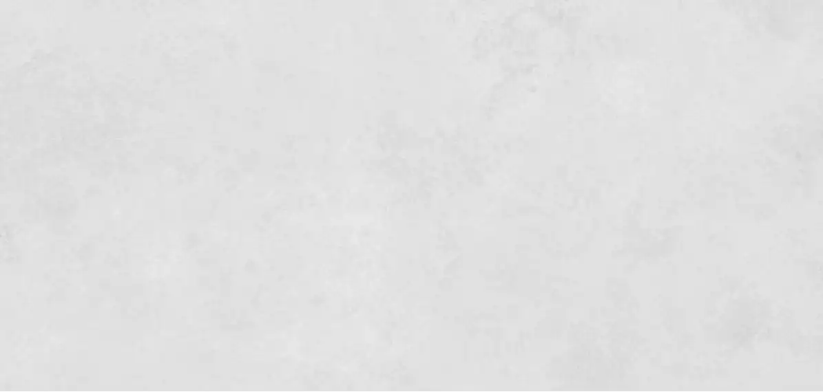 Xlight Premium Stark White Nature 120x250