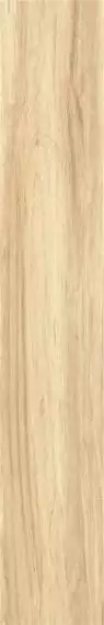 ZC 1223081 rect. 20x120
