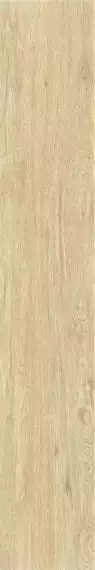 ZC 1223096 rect. 20x120