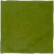 aranda verde g.174 13x13