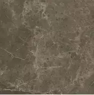 fLX3 Керамогранит Roma Imperiale 20x20