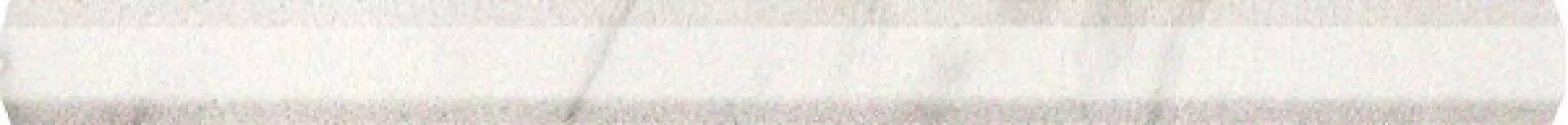 fLZG Roma Statuario Matita 2x25