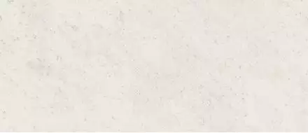 fOEP Керамогранит Roma Diamond Carrara Brillante 120x278