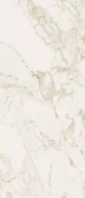 fOWR Керамогранит Roma Calacatta Silk 120x278
