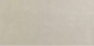 fOXF Плитка Bloom Grey 80x160