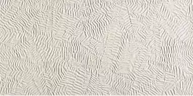 fOXM Плитка Bloom Star White 80x160