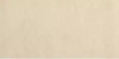 fPCC Керамогранит Sheer Beige Matt R10 30x60